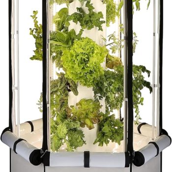 HydroPonic Grow Kit for Plants